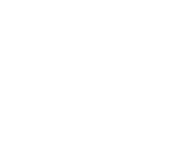 The Fern Logo